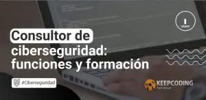 consultor de ciberseguridad