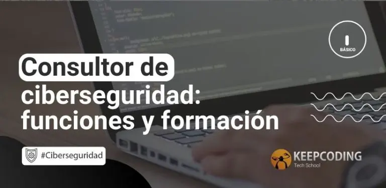 consultor de ciberseguridad