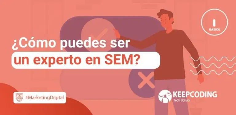 experto en SEM