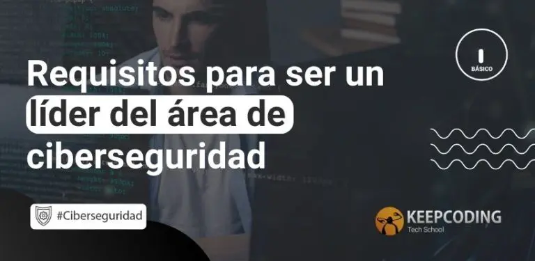 líder del área de ciberseguridad