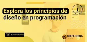Explora los principios de diseño en programación