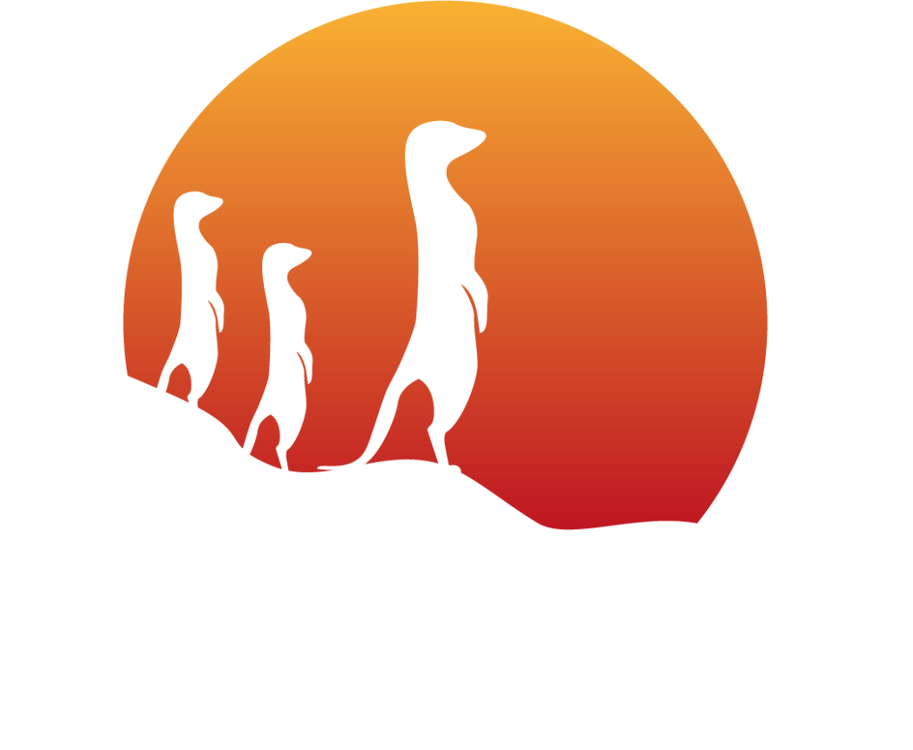 ¿Qué es Suricata en ciberseguridad? 1 Qué es Suricata en ciberseguridad
