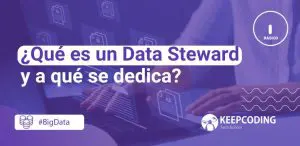 data steward
