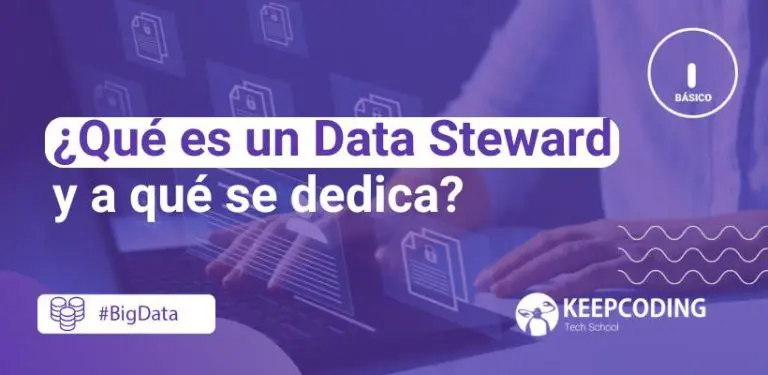 data steward