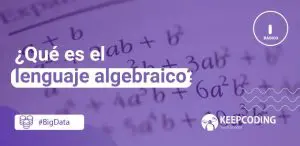 lenguaje algebraico