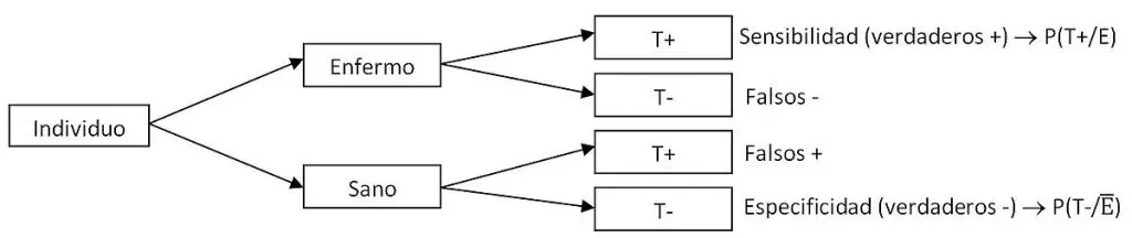 ¿Qué son los diagramas y qué tipos existen? 4 diagramas