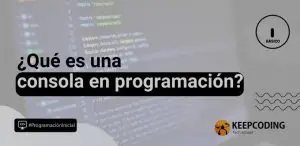 consola en programación