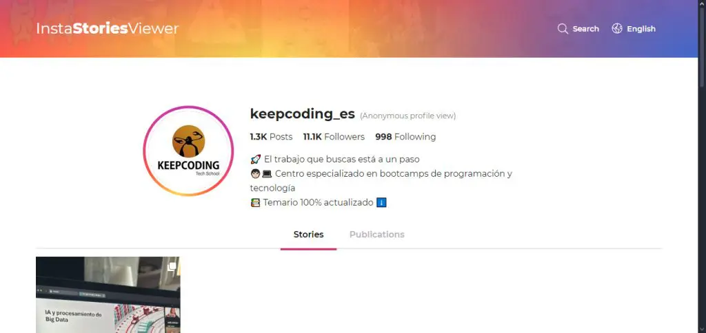 ¿Cómo ver las historias de Instagram de otros usuarios sin que lo sepan? 2 InstaStoriesViewer