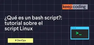 script linux