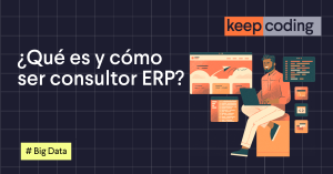 consultor ERP