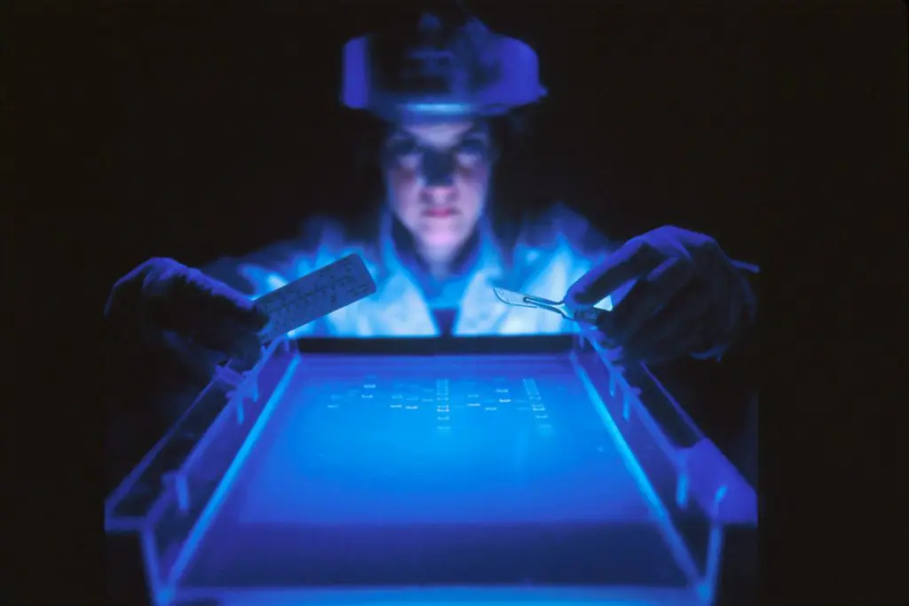 IA médica: ¿Cómo la inteligencia artificial está transformando la medicina moderna? 1 IA médica
