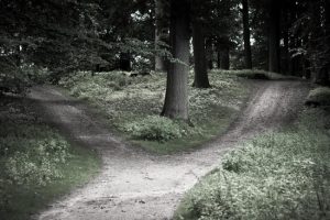 caminos-en-bosque