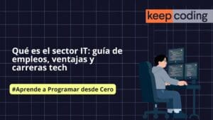 sector IT
