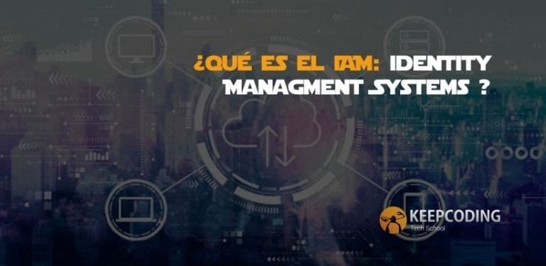 ¿Qué es el IAM Identity Managment Systems ?
