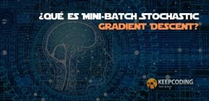 ¿Qué es Mini-batch Stochastic Gradient Descent?