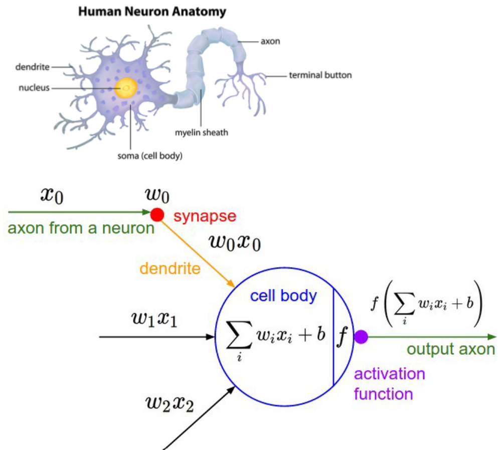 ¿Qué es una red neuronal en Deep Learning? 2