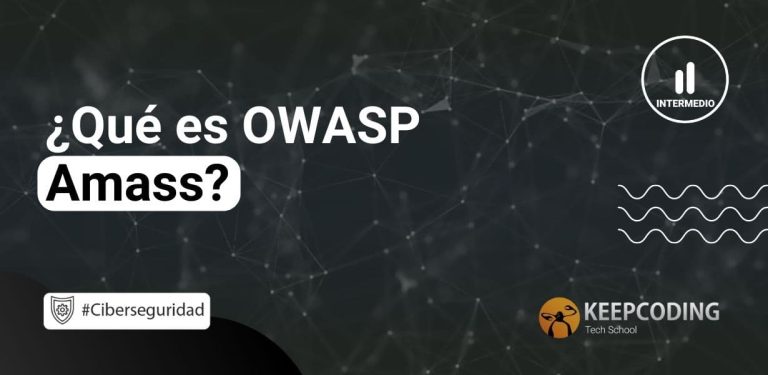 Qué es OWASP Amass