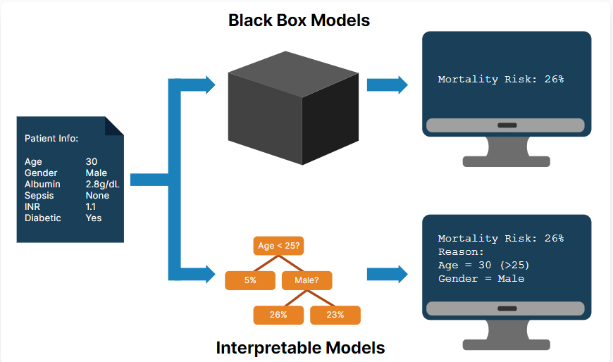 interpretabilidad de modelos: caja negra