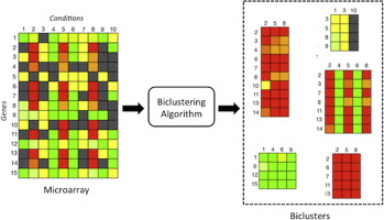 ¿Qué es el biclustering en biología y Big Data? 1