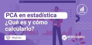 PCA en estadística: Qué es y cómo calcularlo