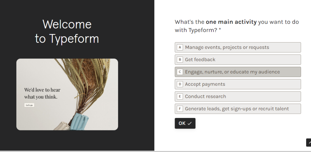 Cómo utilizar Typeform