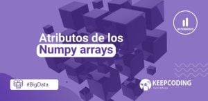 Atributos de los Numpy arrays