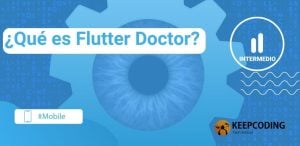 qué es flutter doctor