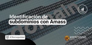 Identificación de subdominios con Amass