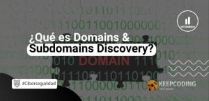 Domains & Subdomains Discovery