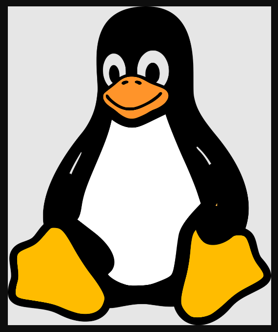 permisos inseguros en binarios en Linux