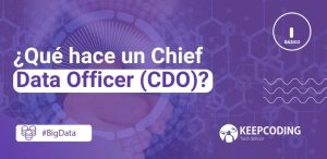 Chief Data Officer (CDO)