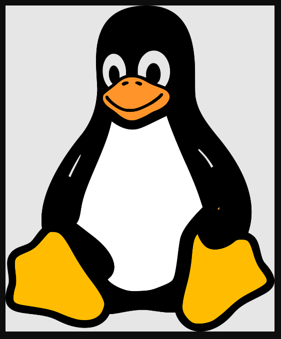 Conexión directa al VPS en Linux