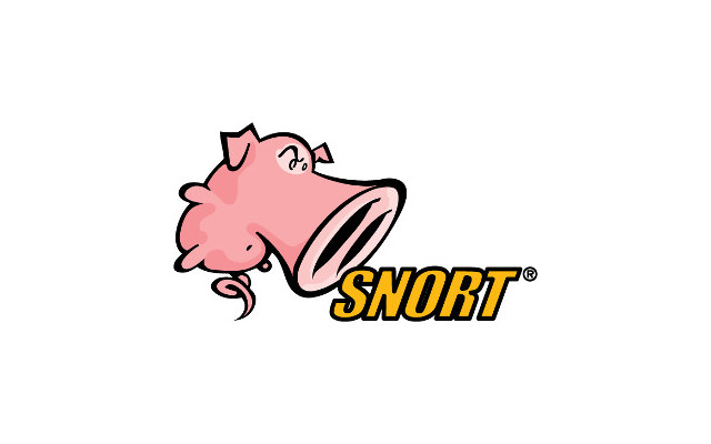 ¿Qué es Snort en ciberseguridad?