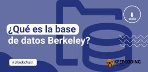 ¿Qué es la base de datos Berkeley DB?