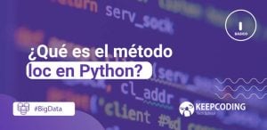 loc en python