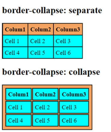 border collapse