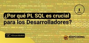 ¿Por qué PL SQL es crucial para los Desarrolladores?