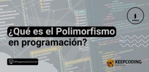 ¿Qué es el Polimorfismo en programación?