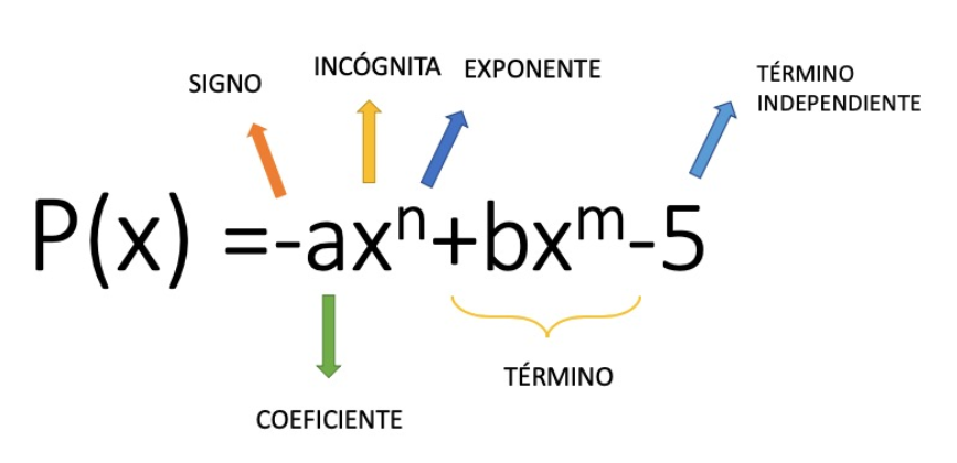 simplificar polinomios