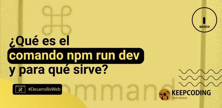 npm run dev