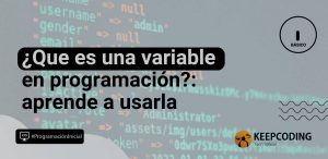 que es una variable en programación