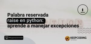 raise en python