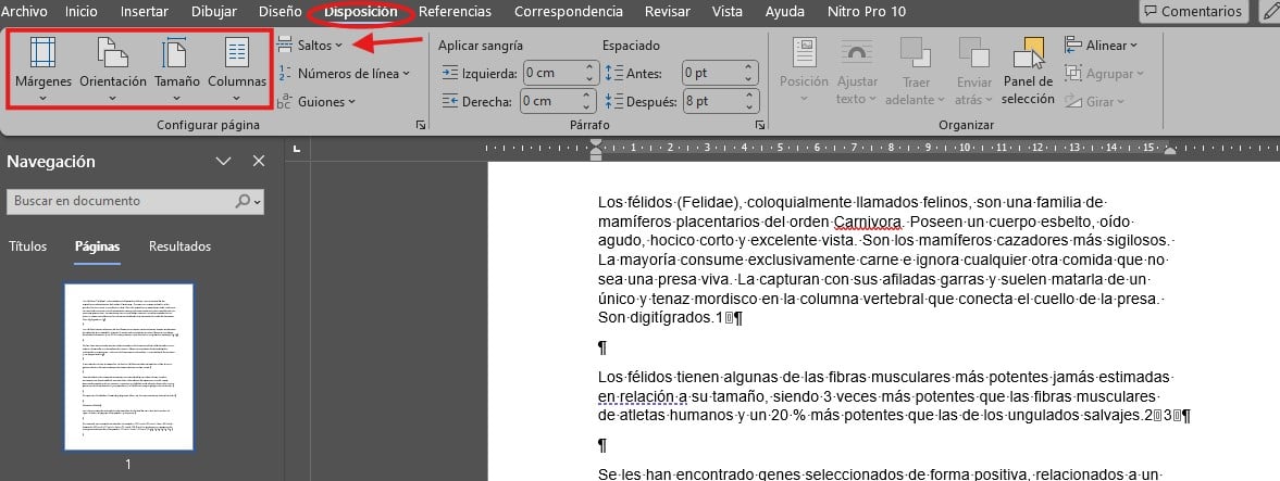 cómo borrar páginas en Word