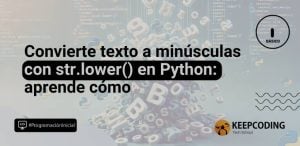 str.lower() en python