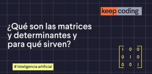 Matrices y determinantes