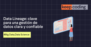 Data Lineage