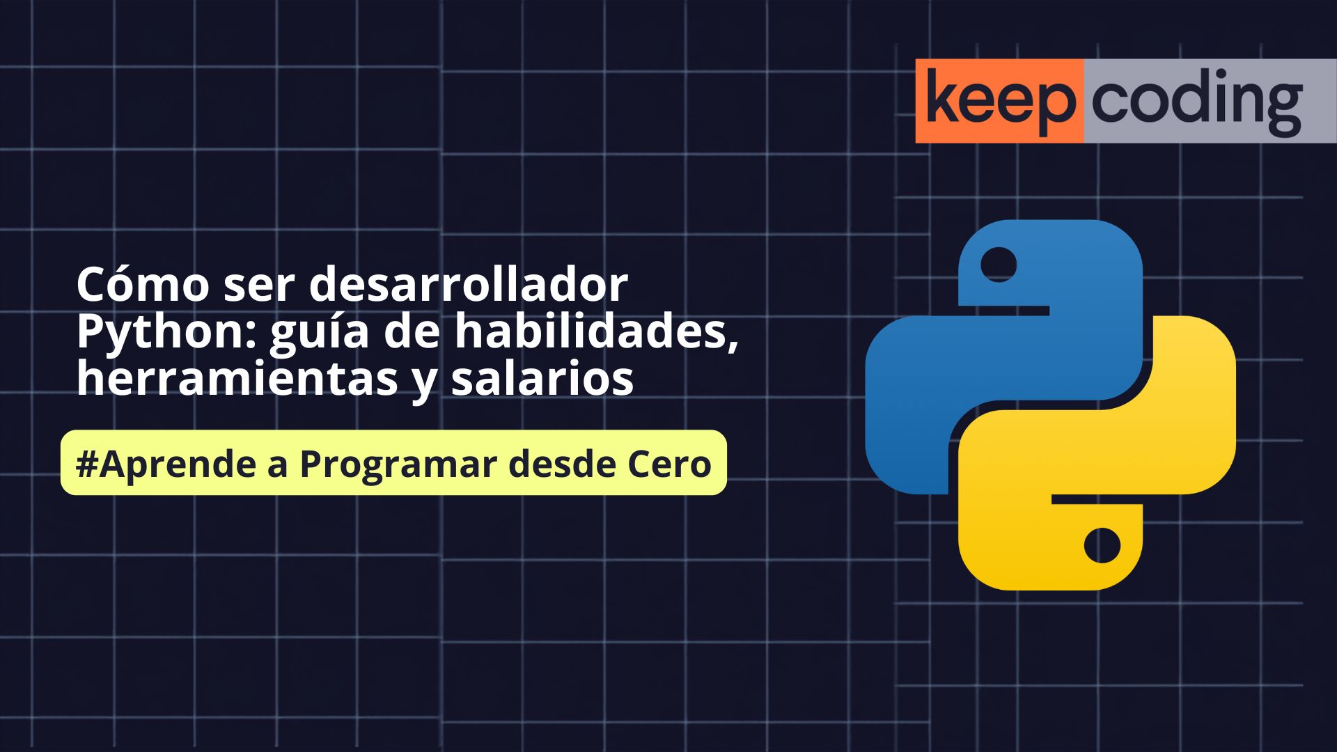 desarrollador Python